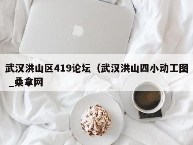 三亚武汉洪山区419论坛（武汉洪山四小动工图 _桑拿网